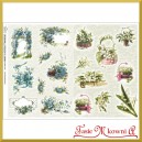 Papier do decoupage KLASYCZNY A4 D0413M - niezapominajki konwalie