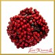 Jagódki czerwone podwójna gałązka 20 owoców