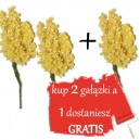 SUSZ OZDOBNY ŻÓŁTY wiązka 28cm - 2+1 gratis