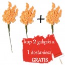 SUSZ OZDOBNY POMARAŃCZOWY wiązka 28cm - 2+1 gratis