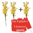 OWOCE JAGODY susz ozdobny wiązka ŻÓŁTE - 2+ 1 gratis