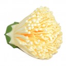 Chryzantema piankowa strzępiasta POMARAŃCZOWA - główka kwiatowa 10cm