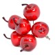 Rajskie jabłuszka czerwone średnie na druciku 12szt.