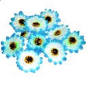 SŁONECZNIK- kwiatuszki ozdobne duże niebieskie 10szt.