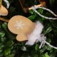 Drewniane kształtki zimowe 7 elementów naturalne