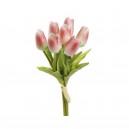 TULIPANY PIANKOWE BUKIET KREM JASNY RÓŻOWY 28CM 7SZT