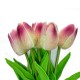 TULIPANY PIANKOWE BUKIET KREM CIEMNY RÓŻ 28CM 7SZT