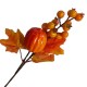 Gałązka jesienna krótka dzika róża dynia liście (KBG 1765)