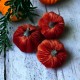 Owoce halloween welurowe DYNIE 2 odcienie pomarańczu