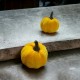 Owoce halloween welurowe DYNIE pomarańczowa i żółta
