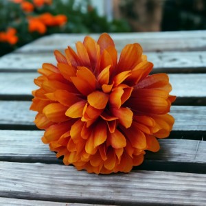 Mini chryzantema POMARAŃCZOWO/BRĄZOWA - główka kwiatowa 10cm zestaw 12szt.