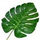 Liść Monstera 41cm