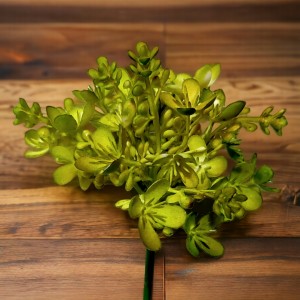 Gałązka borówka bukszpan zielono-żółty 35cm