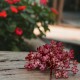Gałązka mini kwiatuszki i pączki blady róż 31cm