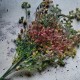 Gałązka drobne kwiatuszki cytryna 29cm
