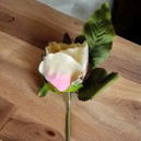 Róża krótka 28 cm kremowo-różowa, duża główka