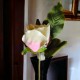 Róża krótka 28 cm pudrowy róż, duża główka