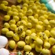 Mini jajka nakrapiane 1,8cm /100szt KR402