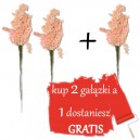 Jaśmin suszony, SUSZ OZDOBNY RÓŻOWY wiązka 28cm / 2+1 gratis