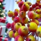 Pomarańczowo-czerwona  JARZĘBINA oszroniona PĘCZEK 400 kuleczek