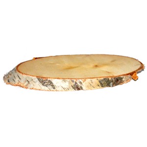 Duży plaster brzozy - baza pod stroik 19-23cm/1szt.