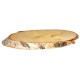 Duży plaster brzozy - baza pod stroik 19-23cm/1szt.