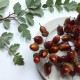 Żołędzie na druciku, brązowe, cieniowane - 12szt