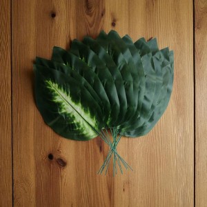 Zestaw 12szt Liścia DIFFENBACHII 48cm krótki, XXL
