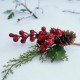 Gałązka oblodzonej dzikiej róży i jagódek z szyszką ECE1736