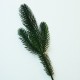 Gałązka ŚWIERKOWA MAŁA zielona 30cm 