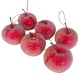 Rajskie jabłuszka czerwone duże na druciku 6szt.