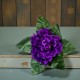 Bukiet kwiatowy - prymulki fioletowe - 20cm