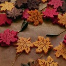 Zestaw drewnianych dużych listków klonu 12szt.