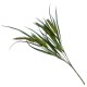 Pszenica - gałązka ozdobna 36cm- zielona