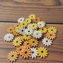 Drewniane kwiatuszki STOKROTKI 36szt - białe, żółte i pomarańczowe