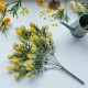 Oset - gałązki w bukiecie 33cm - żółty