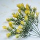 Oset - gałązki w bukiecie 33cm - żółty
