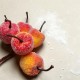 Rajskie jabłuszka oblodzone, oszronione, cukrowe czerwono-pomarańczowe 3cm/6szt. na druciku