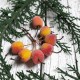 Rajskie jabłuszka oblodzone, oszronione, cukrowe czerwono-pomarańczowe 3cm/6szt. na druciku