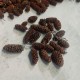 Susz SZYSZKI mini naturalne 2-3 cm 250g 