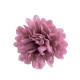 Mini chryzantema POMARAŃCZOWA - główka kwiatowa 10cm zestaw 12szt.