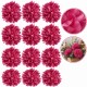 Mini chryzantema WRZOS C10-83 - główka kwiatowa 10cm zestaw 12szt.