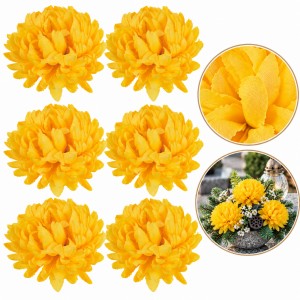 Chryzantema strzępiasta DUŻA kremowa - główka kwiatowa 14cm/6szt